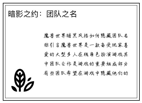 暗影之约：团队之名